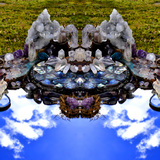 SassyBunny SassyBunny